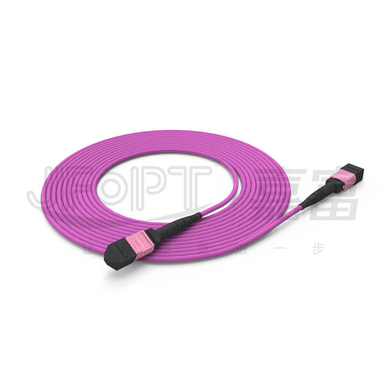 100G MTP Patch Cord 24 Noyaux Multimode OM4 50/125 LSZH 3.0-4.0mm Heather Violet Jumper