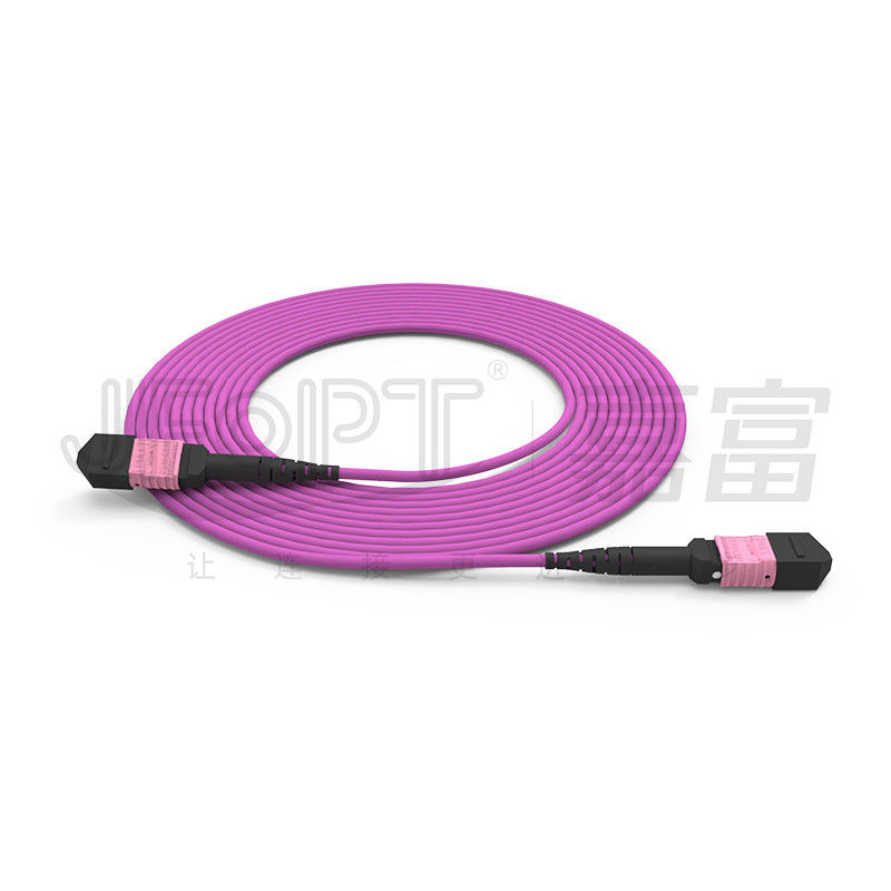 100G MTP Patch Cord 24 Noyaux Multimode OM4 50/125 LSZH 3.0-4.0mm Heather Violet Jumper