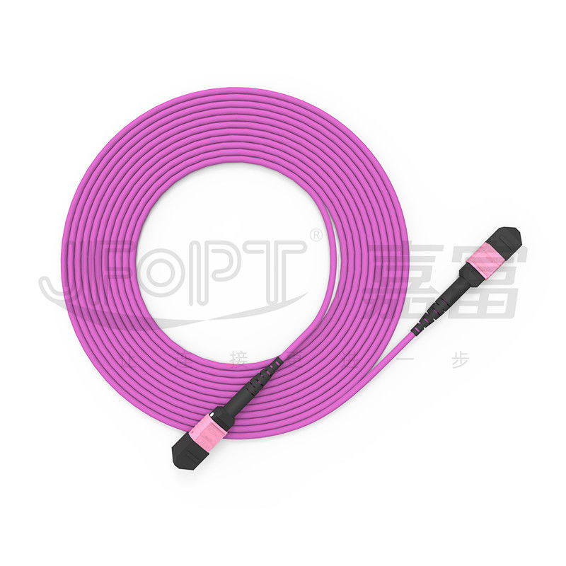 100G MTP Patch Cord 24 Noyaux Multimode OM4 50/125 LSZH 3.0-4.0mm Heather Violet Jumper