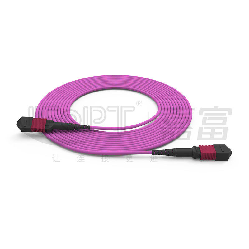 Le tronc simple de tube de MPO-MPO câblent 12 noyaux 2.0mm OM3 OM4 Violet Fiber Cable