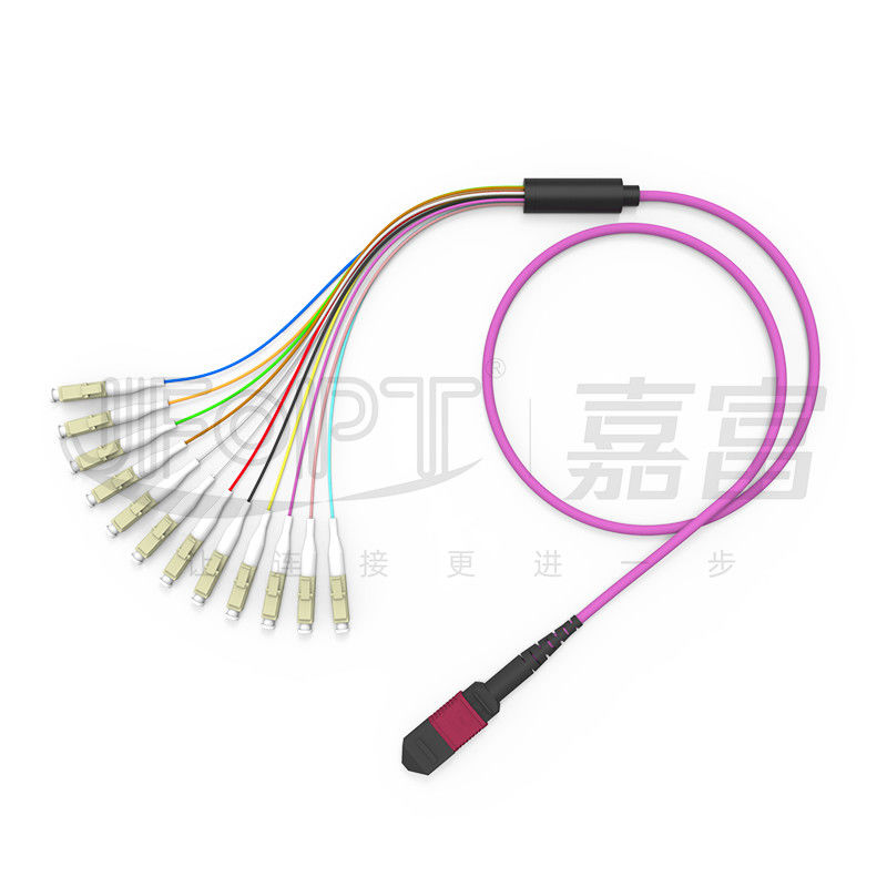 12 noyaux MPO à la branche multimode de la corde de correction d'évasion de LC OM1 OM2 OM3 OM4 OM5 0.9mm