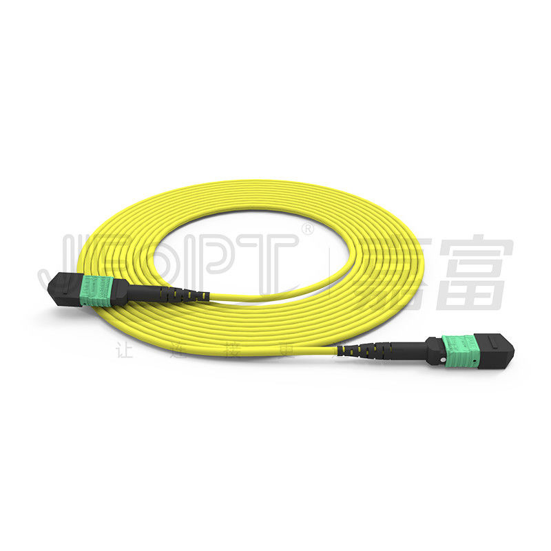 La polarité du mode unitaire OS2 de noyau de MTP 24 une UL d'OFNP a évalué la corde de correction optique de fibre