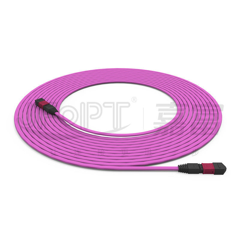 Le câble de tronc ignifuge à 12 cœurs multimode 50/125 OFNR/OFNP