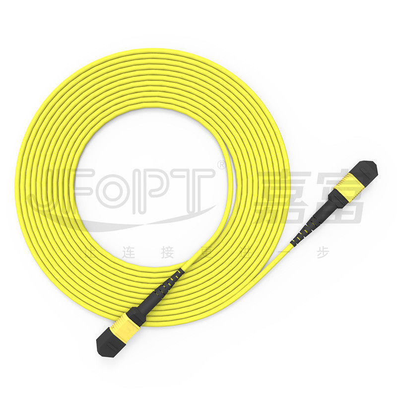 12 cœurs MPO câble de tronc câble de patch mode unique G657A1/G657A2 3.0 LSZH A/B inversion de polarité