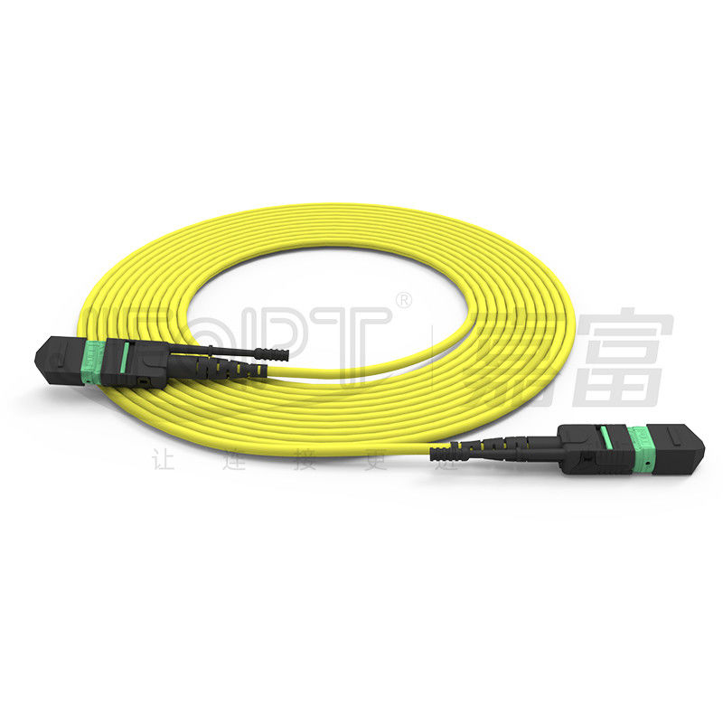 Cable à fibre optique mono-mode/multi-mode MTP à haute densité à 24 têtes