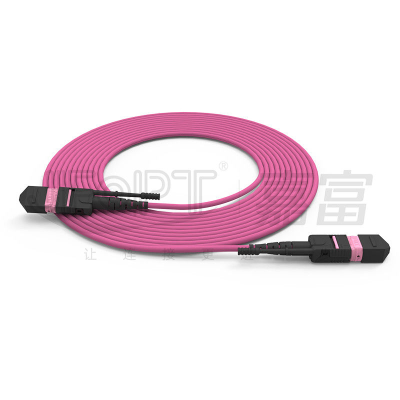 Cable à fibre optique mono-mode/multi-mode MTP à haute densité à 24 têtes