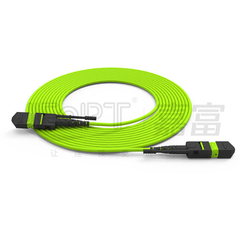 Cable à fibre optique mono-mode/multi-mode MTP à haute densité à 24 têtes
