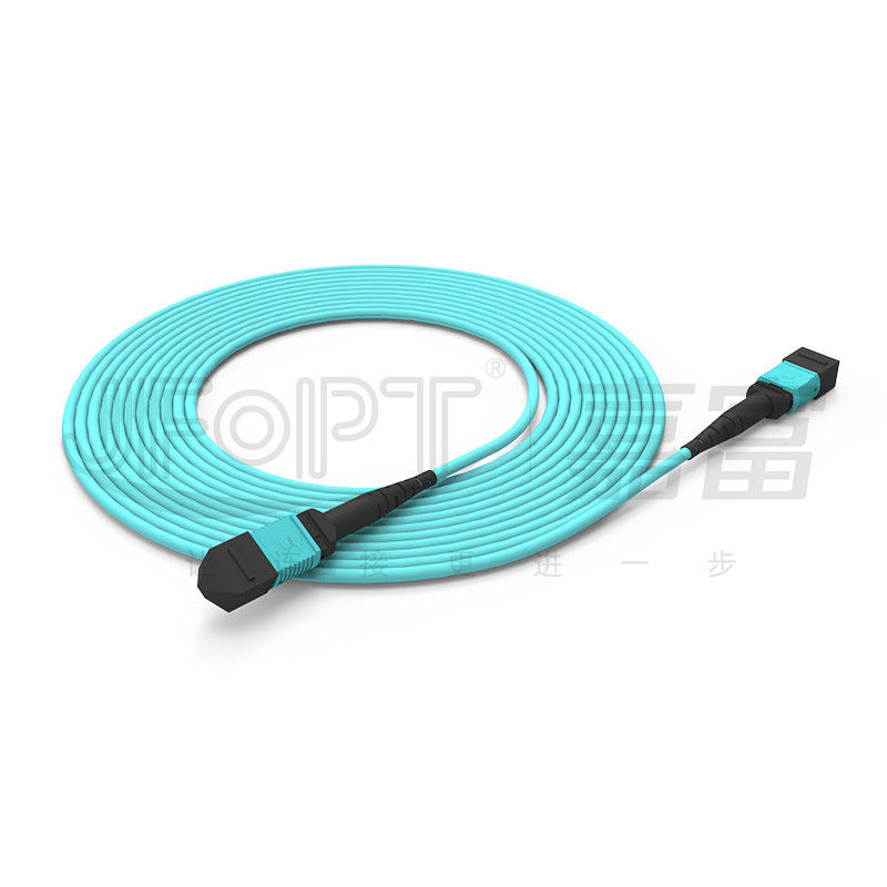 Perte de retour du concentré MPO ≥20 dB MM OM3/OM4 MPO-MPO patch cord pour la communication par fibre optique