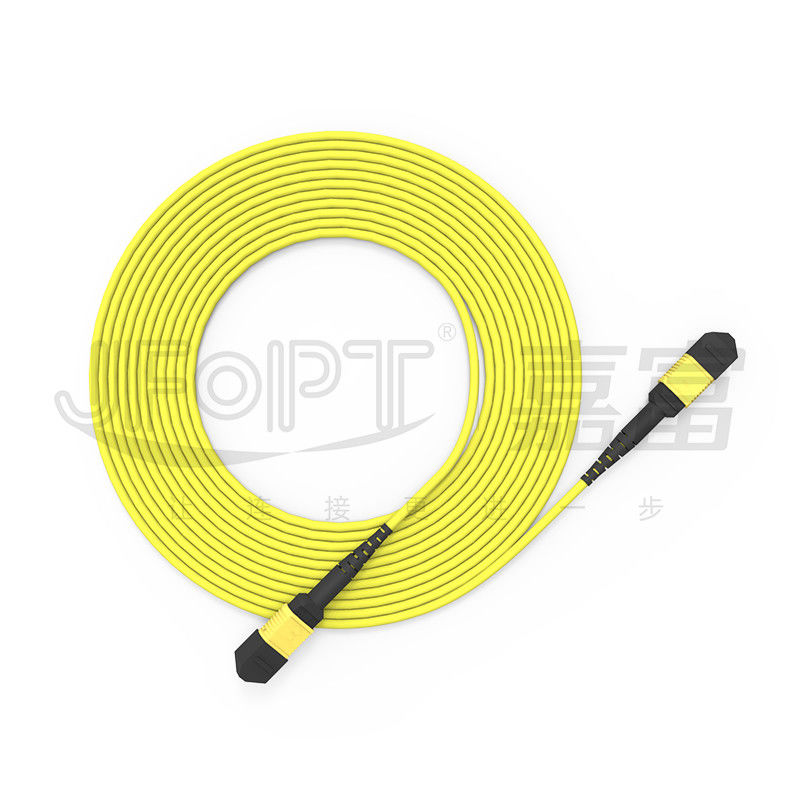 10 Gigabits MPO patch cord Connexion rapide pour la connexion de signal optique dans la salle d'informatique