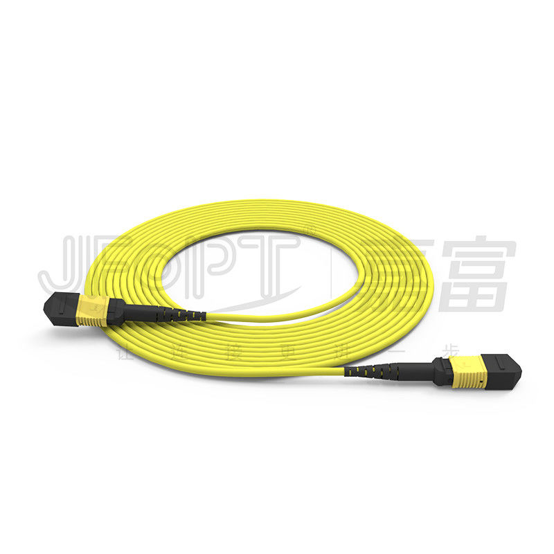 12 cœurs MPO câble de tronc LSZH 2.0mm/3.0mm faible perte Single-tube Mini câble MPO patch Cord