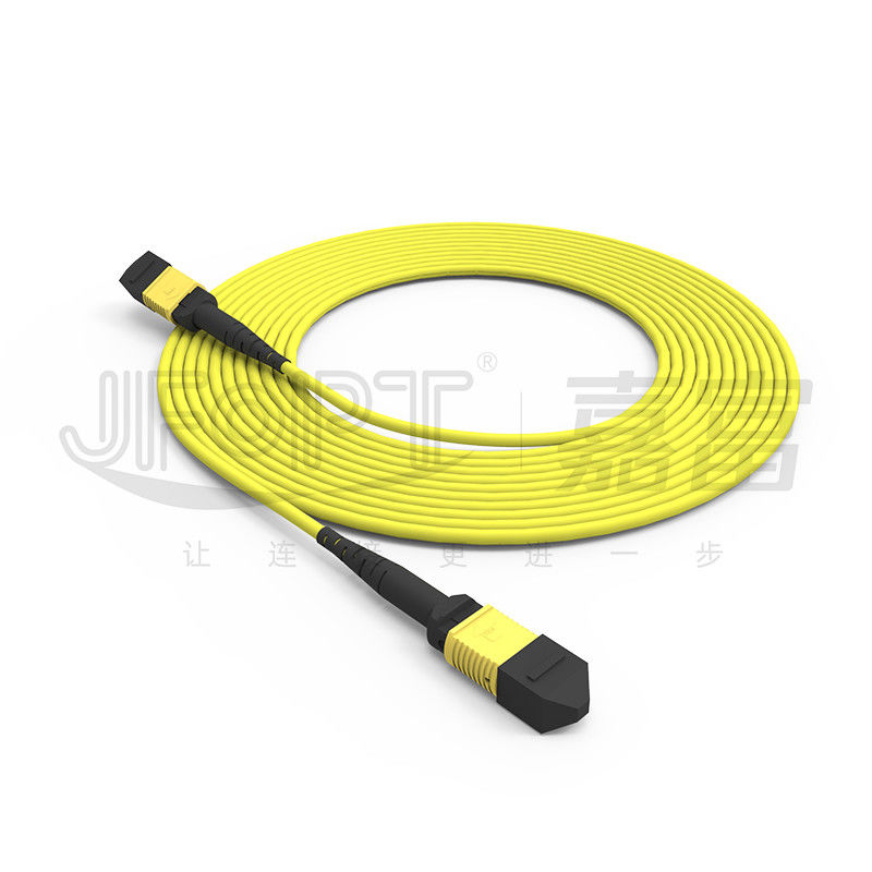 12 cœurs MPO câble de tronc LSZH 2.0mm/3.0mm faible perte Single-tube Mini câble MPO patch Cord