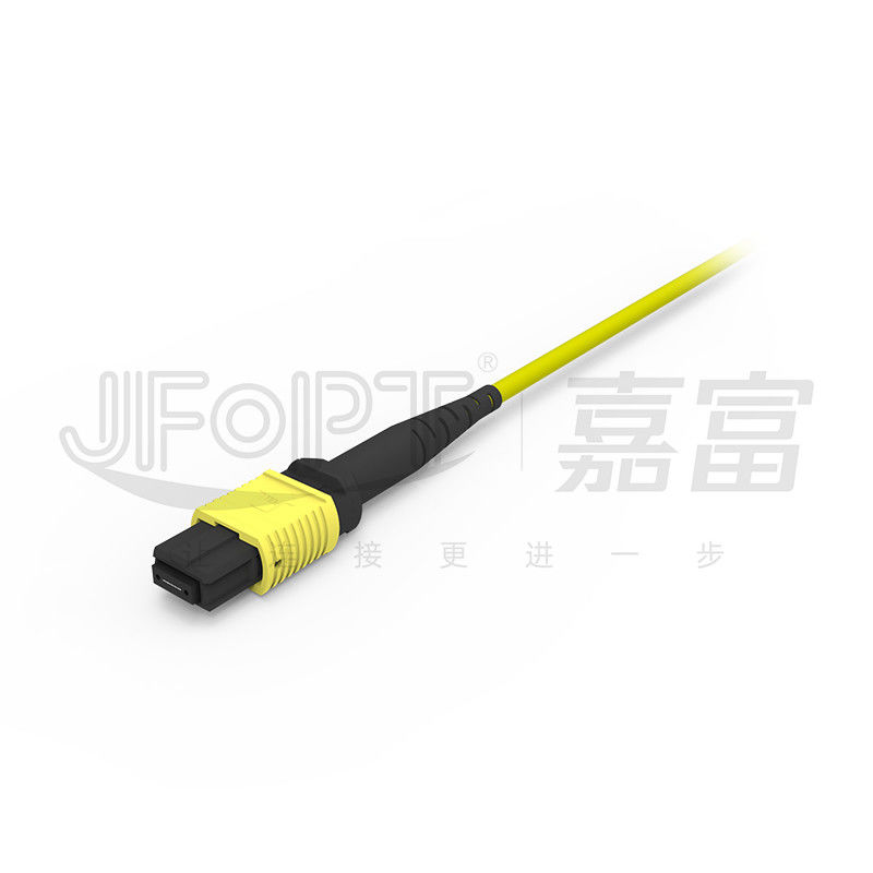 12 cœurs MPO câble de tronc LSZH 2.0mm/3.0mm faible perte Single-tube Mini câble MPO patch Cord