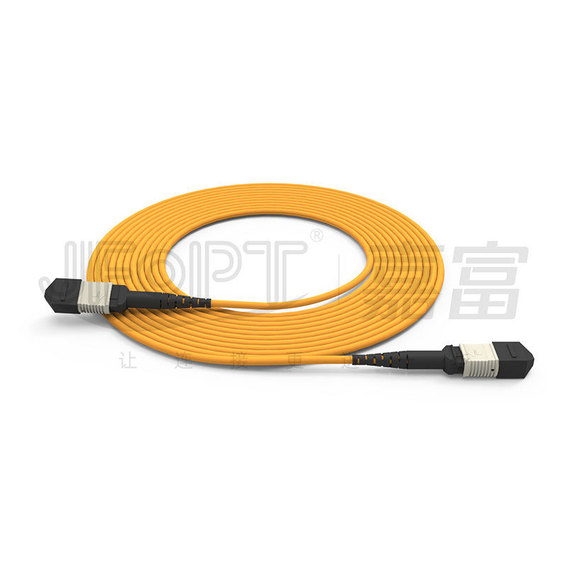 850nm Multimode Ferrule à faible perte MPO câble de tronc Multi-cœur Cordon de patch en fibre optique